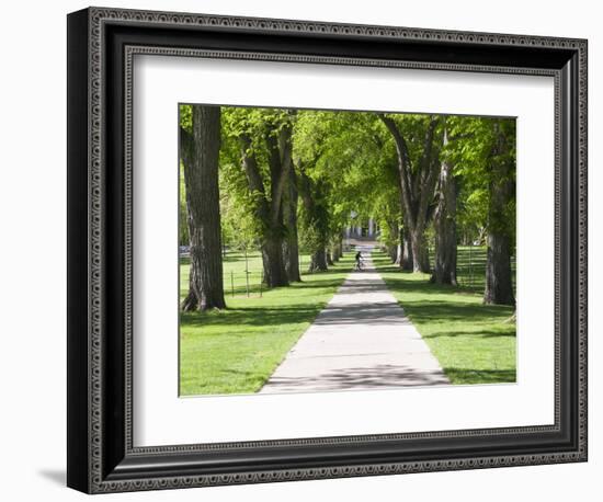 Students Walk in the Oval, Fort Collins, Colorado, USA-Trish Drury-Framed Photographic Print