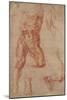 Studies for Haman-Michelangelo-Mounted Art Print