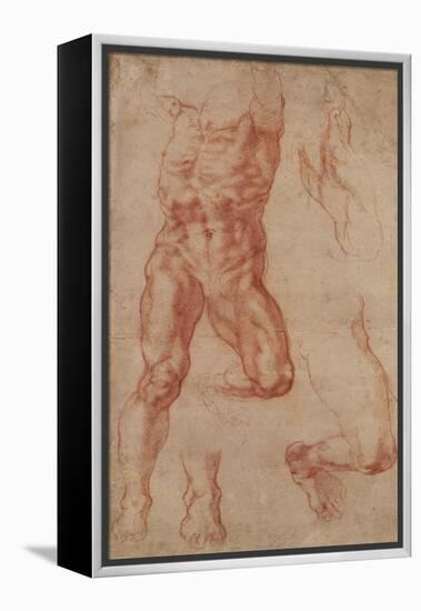 Studies for Haman-Michelangelo-Framed Stretched Canvas