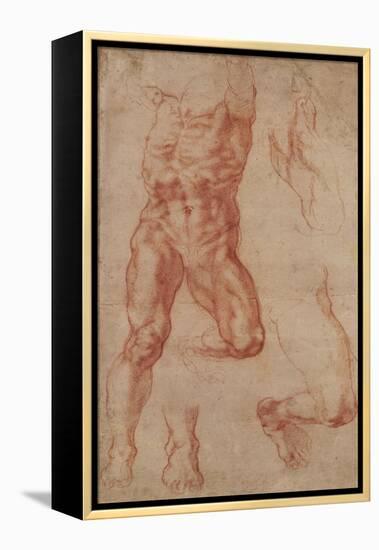 Studies for Haman-Michelangelo-Framed Stretched Canvas