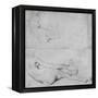 Studies for the Grande Odalisque-Jean-Auguste-Dominique Ingres-Framed Premier Image Canvas
