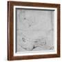 Studies for the Grande Odalisque-Jean-Auguste-Dominique Ingres-Framed Giclee Print