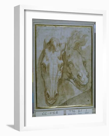 Studies for the Heads of Two Horses-null-Framed Giclee Print