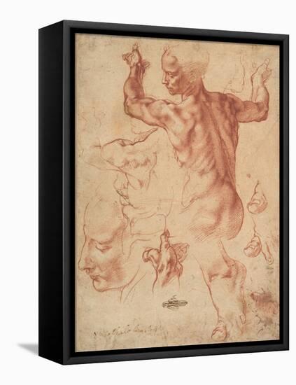 Studies for the Libyan Sibyl (recto), c.1510-11-Michelangelo Buonarroti-Framed Premier Image Canvas