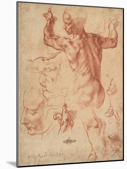 Studies for the Libyan Sibyl (recto), c.1510-11-Michelangelo Buonarroti-Mounted Giclee Print