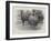 Studies from Life at the Zoological Gardens, Peruvian Llamas-null-Framed Giclee Print