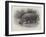 Studies from Life at the Zoological Gardens, the Home of the Hippopotamus-null-Framed Giclee Print