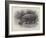 Studies from Life at the Zoological Gardens, the Home of the Hippopotamus-null-Framed Giclee Print