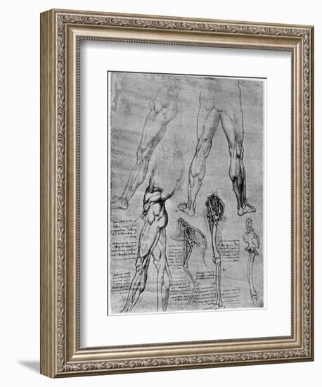 Studies in Comparative Anatomy, 1506-1507-Leonardo da Vinci-Framed Giclee Print