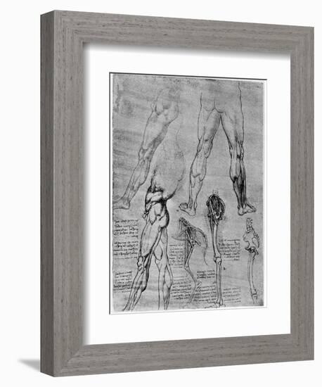 Studies in Comparative Anatomy, 1506-1507-Leonardo da Vinci-Framed Giclee Print