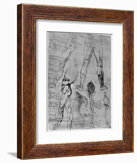 Studies in Comparative Anatomy, 1506-1507-Leonardo da Vinci-Framed Giclee Print