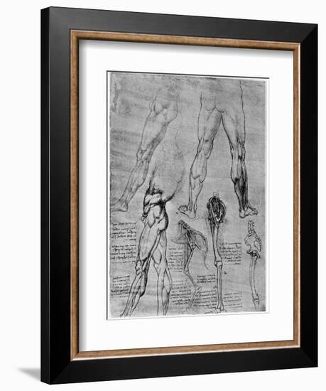 Studies in Comparative Anatomy, 1506-1507-Leonardo da Vinci-Framed Giclee Print