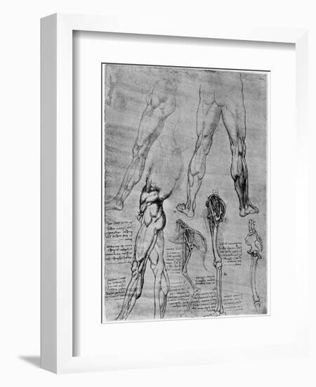 Studies in Comparative Anatomy, 1506-1507-Leonardo da Vinci-Framed Giclee Print