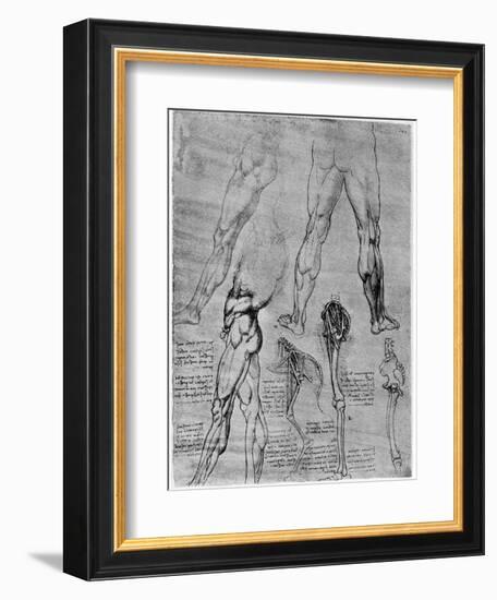 Studies in Comparative Anatomy, 1506-1507-Leonardo da Vinci-Framed Giclee Print