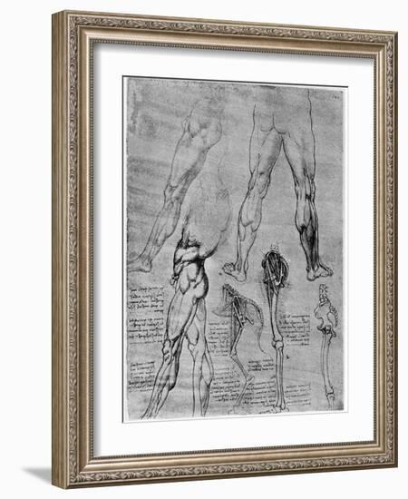 Studies in Comparative Anatomy, 1506-1507-Leonardo da Vinci-Framed Giclee Print