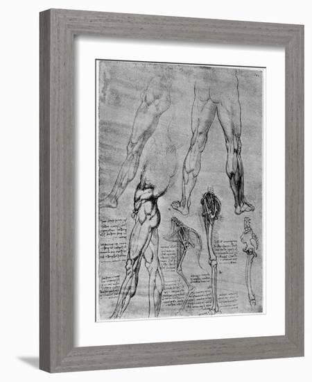 Studies in Comparative Anatomy, 1506-1507-Leonardo da Vinci-Framed Giclee Print