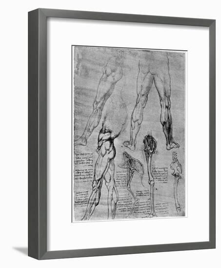 Studies in Comparative Anatomy, 1506-1507-Leonardo da Vinci-Framed Giclee Print