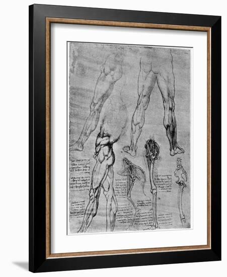 Studies in Comparative Anatomy, 1506-1507-Leonardo da Vinci-Framed Giclee Print