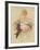 Studies in Femininity-The Vintage Collection-Framed Giclee Print