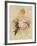 Studies in Femininity-The Vintage Collection-Framed Giclee Print