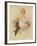 Studies in Femininity-The Vintage Collection-Framed Giclee Print