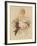 Studies in Femininity-The Vintage Collection-Framed Giclee Print