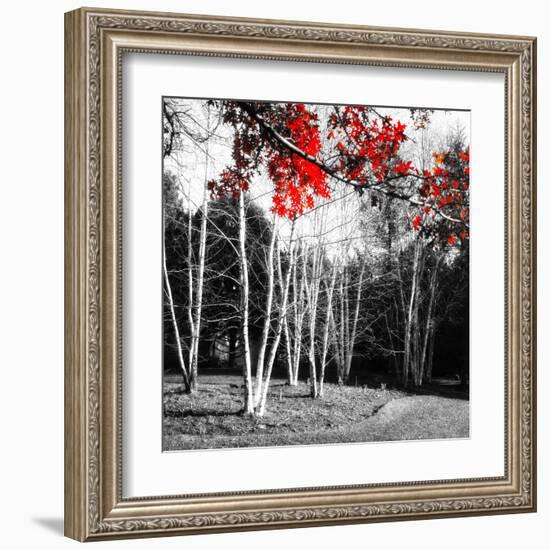 Studies in Red 1-null-Framed Art Print