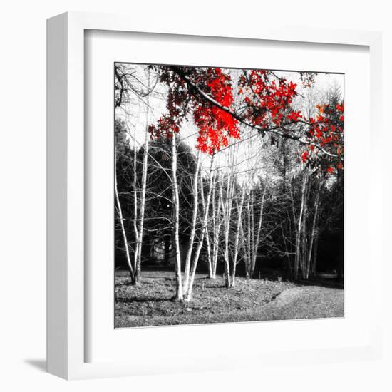 Studies in Red 1-null-Framed Art Print