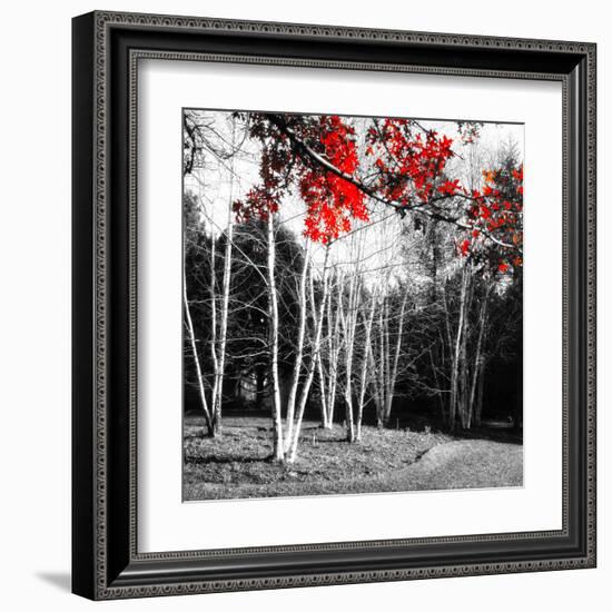 Studies in Red 1-null-Framed Art Print