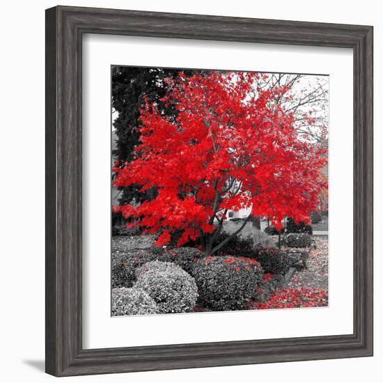 Studies in Red 4-null-Framed Art Print