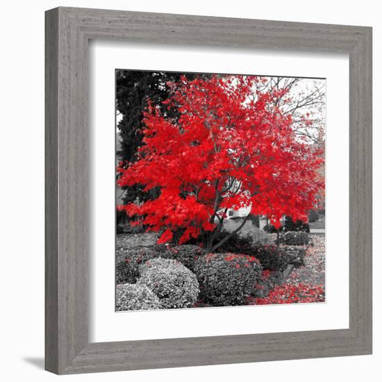 Studies in Red 4-null-Framed Art Print