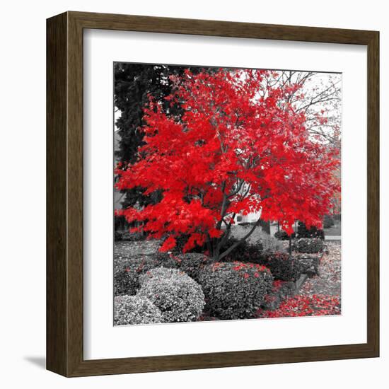 Studies in Red 4-null-Framed Art Print