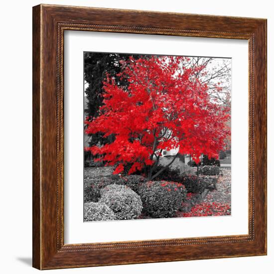 Studies in Red 4-null-Framed Art Print