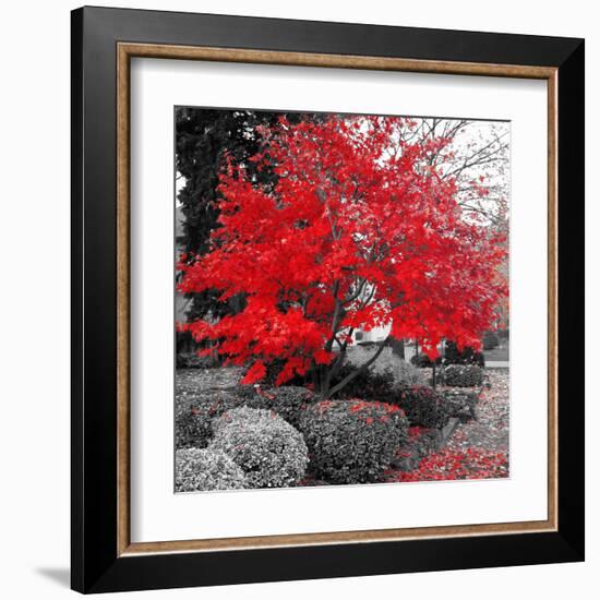 Studies in Red 4-null-Framed Art Print