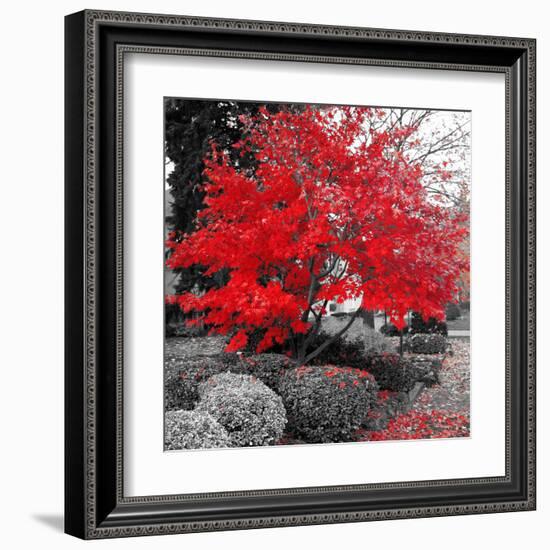 Studies in Red 4-null-Framed Art Print