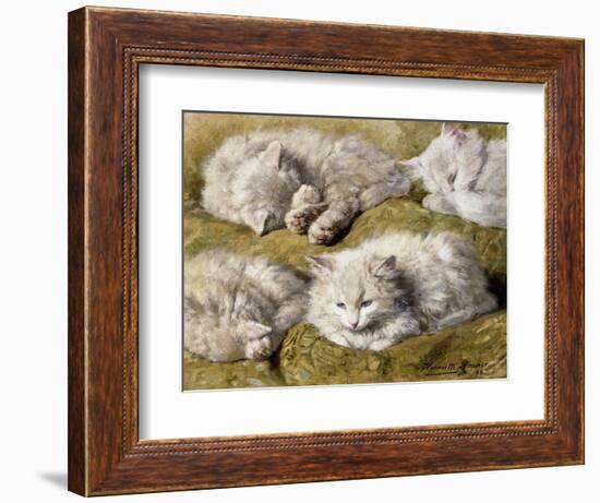 Studies of a Long-haired White Cat-Henriette Ronner-Knip-Framed Giclee Print