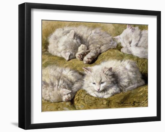 Studies of a Long-haired White Cat-Henriette Ronner-Knip-Framed Giclee Print