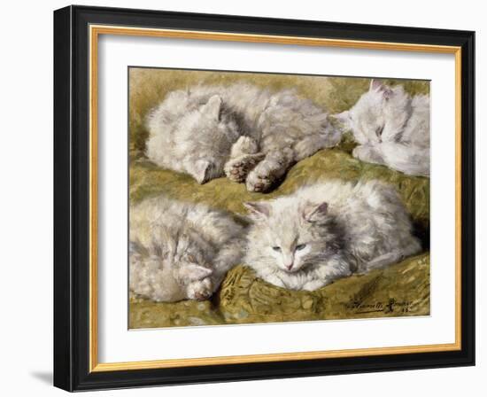 Studies of a Long-haired White Cat-Henriette Ronner-Knip-Framed Giclee Print