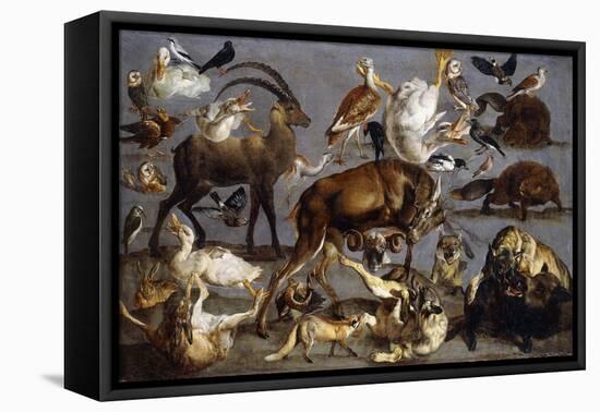 Studies of a Red Deer, an Ibex, a Wild Boar, Three Wolves, Two Beavers, Two Hares, a Fox, Four…-Carl Borromaus Andreas Ruthart-Framed Premier Image Canvas