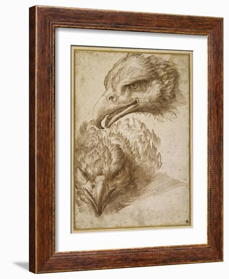 Studies of an Eagle's Head-Perino Del Vaga-Framed Giclee Print