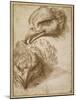 Studies of an Eagle's Head-Perino Del Vaga-Mounted Giclee Print