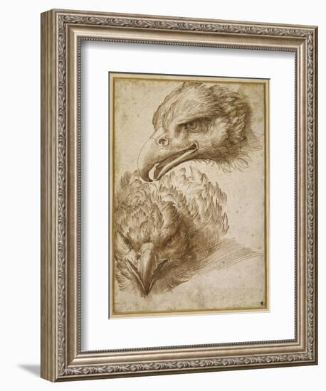 Studies of an Eagle's Head-Perino Del Vaga-Framed Giclee Print