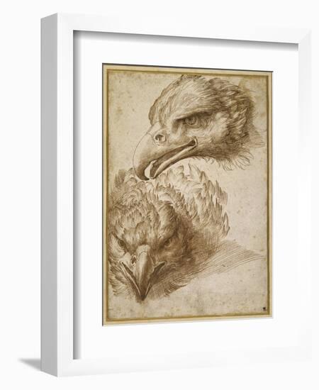 Studies of an Eagle's Head-Perino Del Vaga-Framed Giclee Print