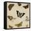 Studies of Butterflies and Insects-Sydenham Teast Edwards-Framed Premier Image Canvas