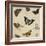 Studies of Butterflies and Insects-Sydenham Teast Edwards-Framed Giclee Print
