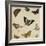 Studies of Butterflies and Insects-Sydenham Teast Edwards-Framed Giclee Print