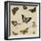 Studies of Butterflies and Insects-Sydenham Teast Edwards-Framed Giclee Print