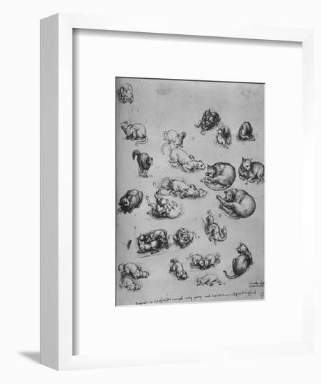 'Studies of Cats and of a Dragon', c1480 (1945)-Leonardo Da Vinci-Framed Premium Giclee Print
