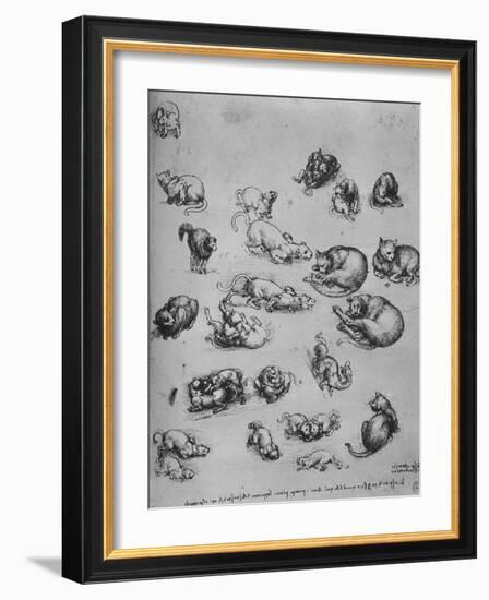 'Studies of Cats and of a Dragon', c1480 (1945)-Leonardo Da Vinci-Framed Giclee Print