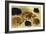 Studies of Cats-Henriette Ronner-Knip-Framed Giclee Print